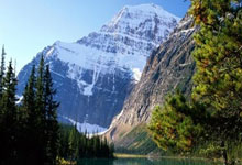 开云体育APP下载-公牛绝杀菲律宾男篮，费沃斯一己之力扛起全队