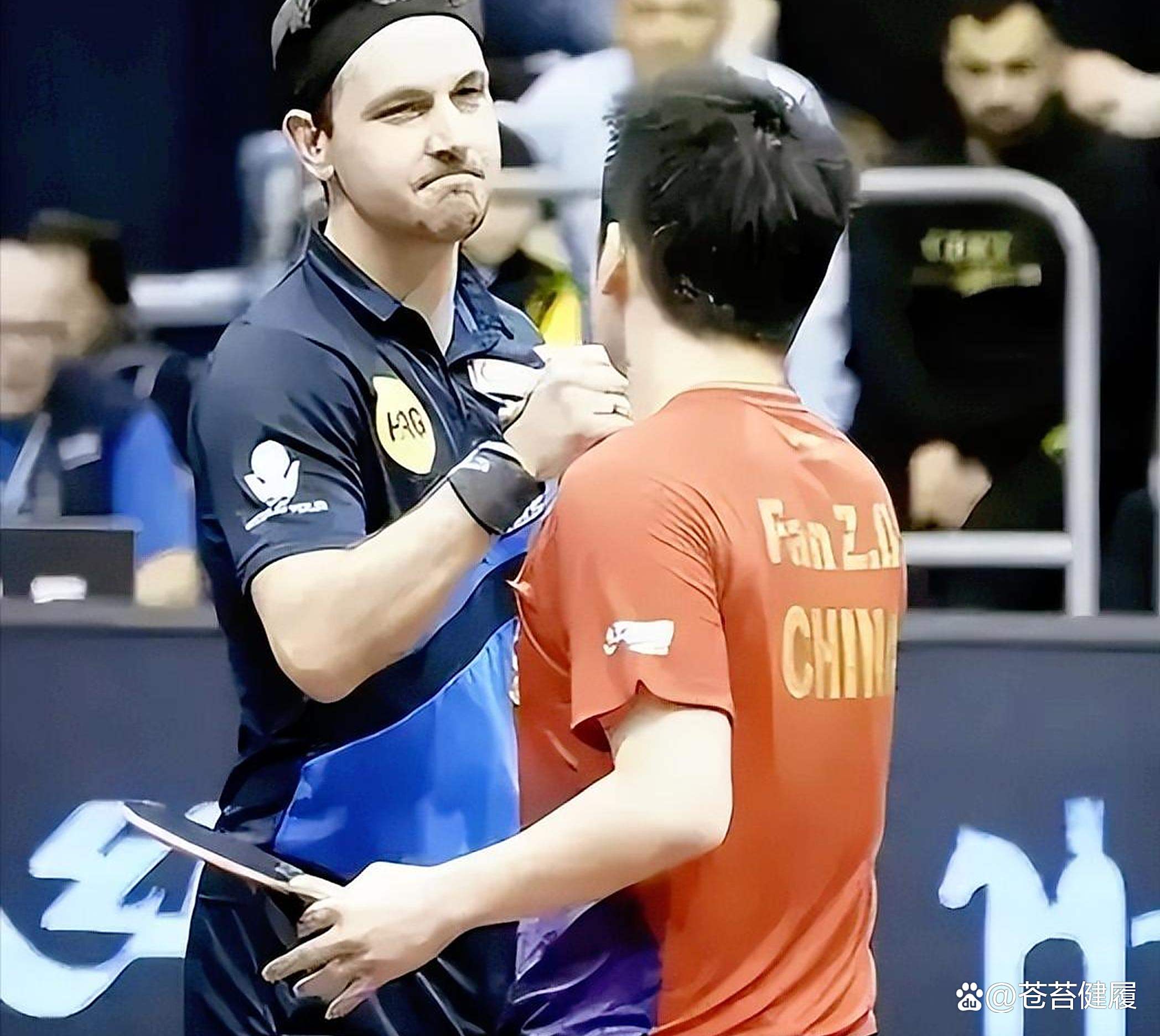 关于日本乒乓球队绝地反击波兰乒乓球队，波尔爆发神勇的信息