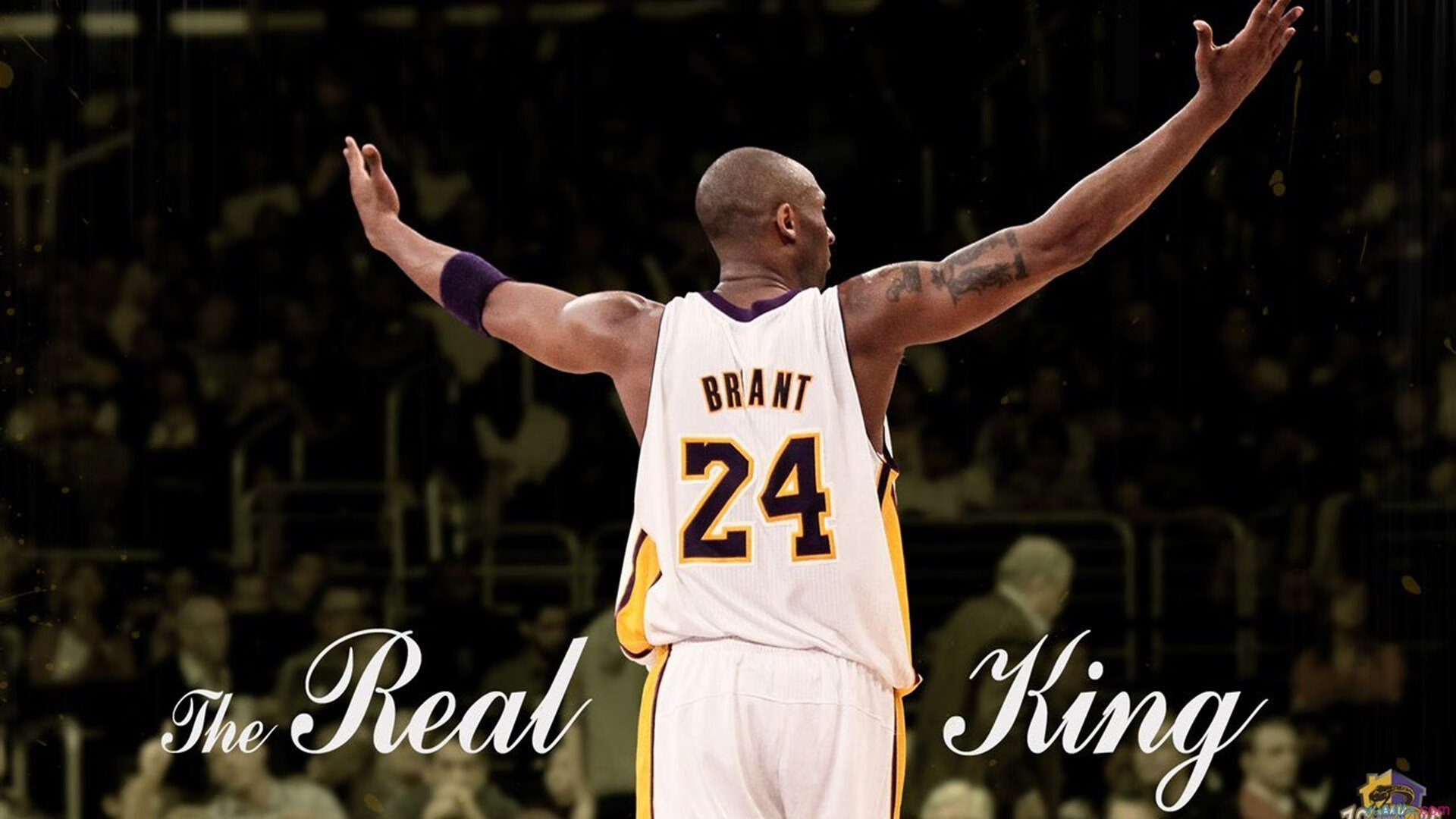 跨越疆界的英雄时刻，从罗德里戈的绝境接管到韩国加时的坚韧胜利